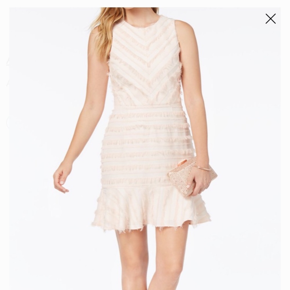 Pink flutter dress NWT Adelyn Rae